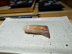 -镹·鱼料理  国产鱼使用店