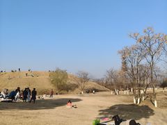 -盘龙城国家考古遗址公园