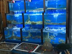 水产区-老东镇啤酒屋海鲜加工·蒸汽海鲜·海鲜烧烤(台东店)