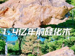 -国家植物园