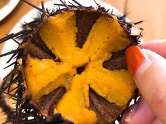 -海胆小馆(东北水饺·春柳店)