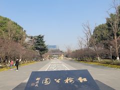 -红梅公园