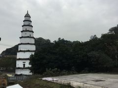 -南山植物园
