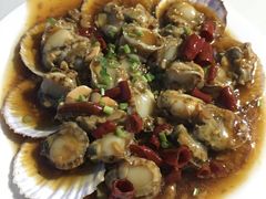 辣蚝油扇贝-九龙餐厅(大沽路店)