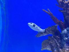 -海合安武汉极地海洋公园