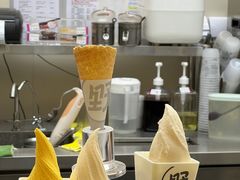 -野人先生现做冰淇淋(北京悠唐购物中心店)