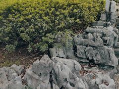 -柳侯公园