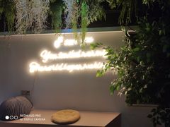 -Husky Go! 哈士奇体验馆·宠物咖啡厅狗咖