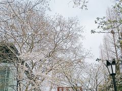 -鸡鸣寺