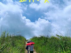 -军营村
