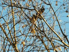 -北京植物园南门售票处