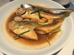 家烧深海大黄鱼-荣小馆(临海世纪花城店)