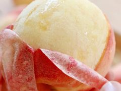 -老袁家蜜桃农场·阳山水蜜桃