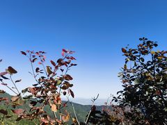 -香山公园