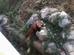 -南昌动物园