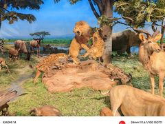 -国家自然博物馆