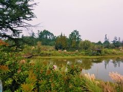 -桤木河湿地公园