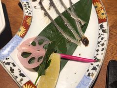 -森味薪火烧•烧鸟居酒屋•日本料理(望京店)