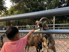 -长白岛森林公园