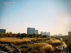 -西海子公园