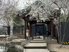 -三里河公园
