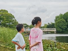 -新江湾城公园
