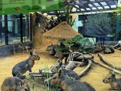 -大连森林动物园