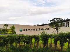 -中山市树木园