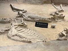 -洛阳周王城天子驾六博物馆