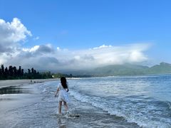 -西涌国际滨海旅游区