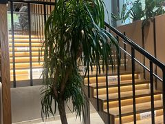 -TIGERS老虎西餐(亦庄店)