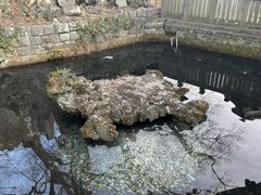 -成田山新胜寺