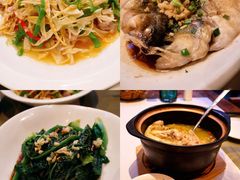 -看见远方·莫干遥远的山民宿