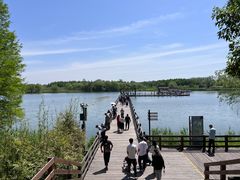 -溱湖国家湿地公园