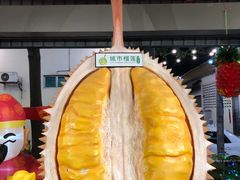 -都念榴莲·城市榴莲