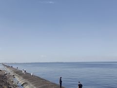 -东疆建设开发纪念公园