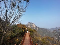 -大岭沟猕猴桃谷风景区
