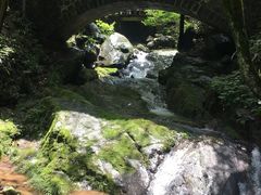 -藏龙百瀑风景区