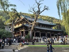 -晋祠公园