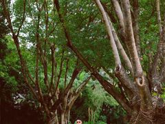 -人民公园(罗湖区)