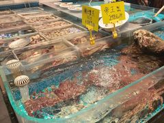 -味到1981日照海鲜·渔饺子
