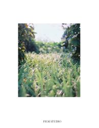 -菲林婚纱摄影工作室