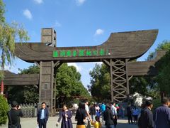 -溱湖国家湿地公园