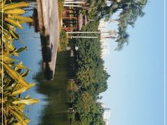 -荔湾湖公园