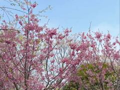 -梁鸿国家湿地公园