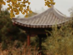 -三里河公园