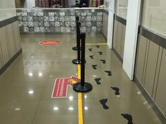 -珍妮曲奇聪明小熊(上环店)