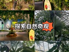 -济南植物园