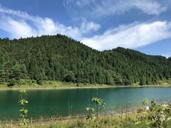 -武陵山森林公园