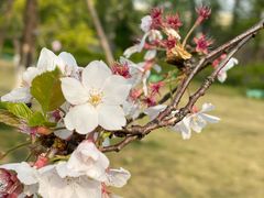 -杭州城北体育公园